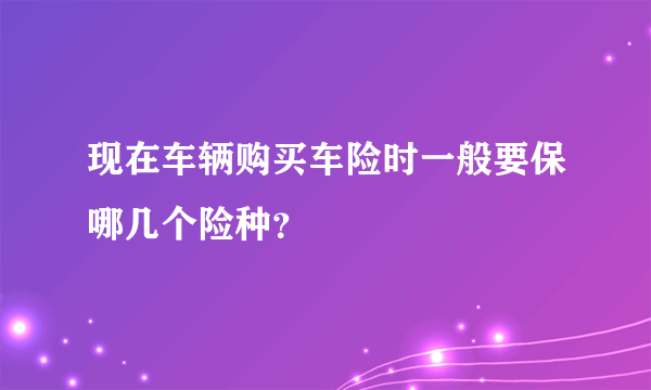 现在车辆购买车险时一般要保哪几个险种？