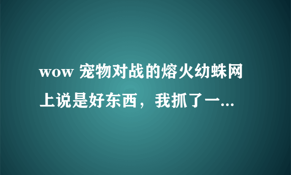 wow 宠物对战的熔火幼蛛网上说是好东西，我抓了一只，但是要怎么去使用它呀？哪些技能是有用的？