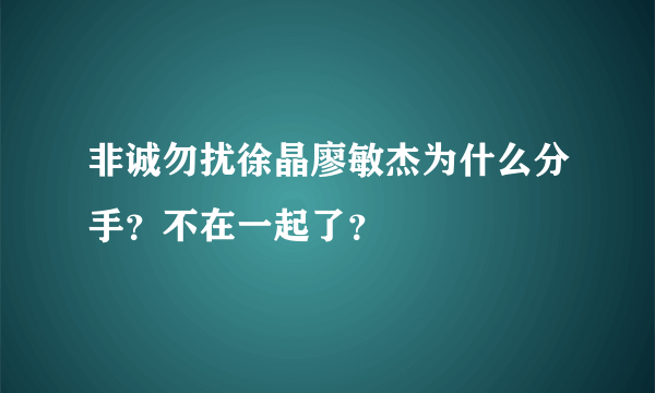 非诚勿扰徐晶廖敏杰为什么分手？不在一起了？