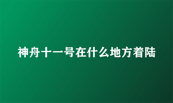 神舟十一号在什么地方着陆