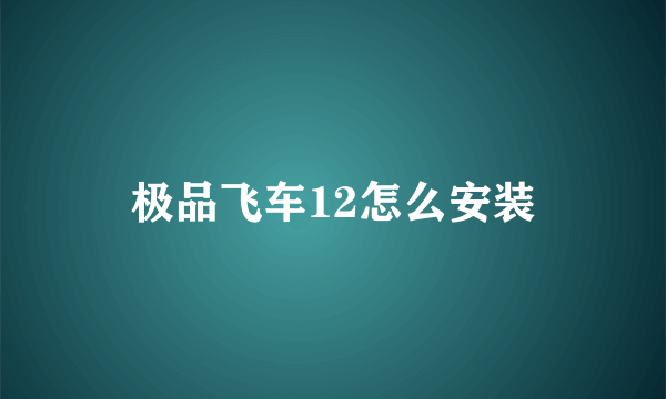 极品飞车12怎么安装