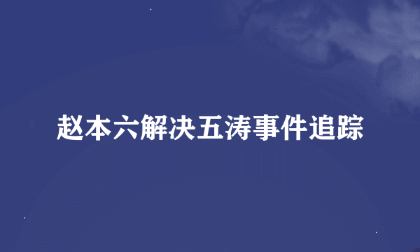 赵本六解决五涛事件追踪