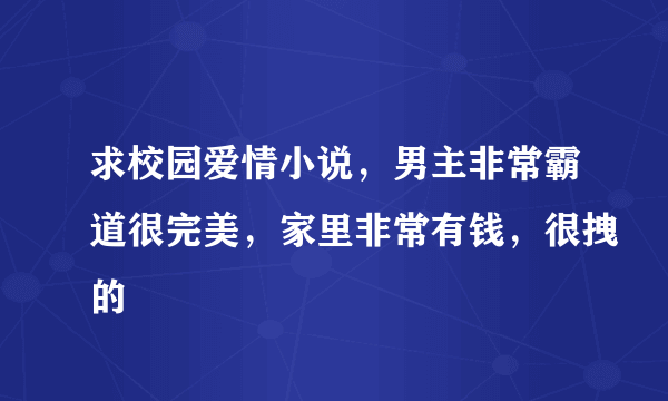 求校园爱情小说，男主非常霸道很完美，家里非常有钱，很拽的