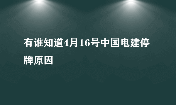 有谁知道4月16号中国电建停牌原因