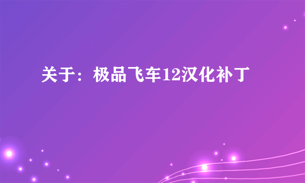 关于：极品飞车12汉化补丁