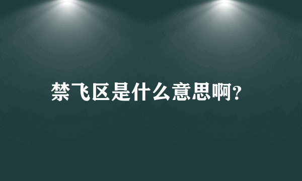 禁飞区是什么意思啊？