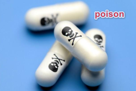 Poison翻译成中文是什么意思