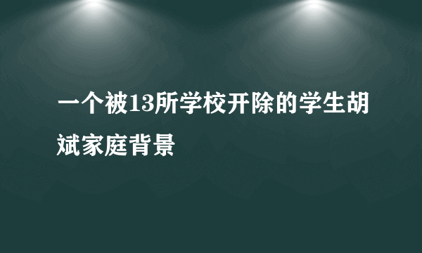 一个被13所学校开除的学生胡斌家庭背景