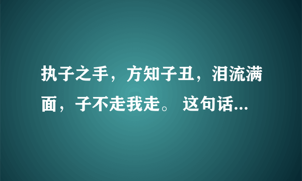 执子之手，方知子丑，泪流满面，子不走我走。 这句话什么意思？