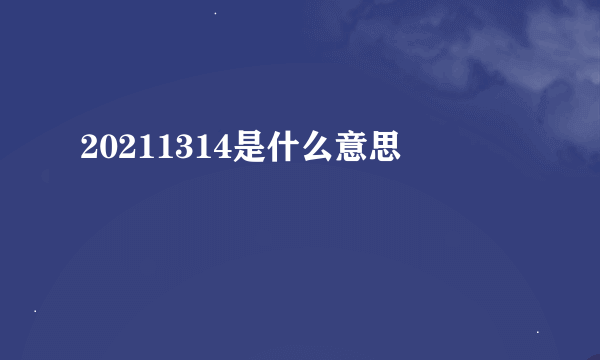 20211314是什么意思