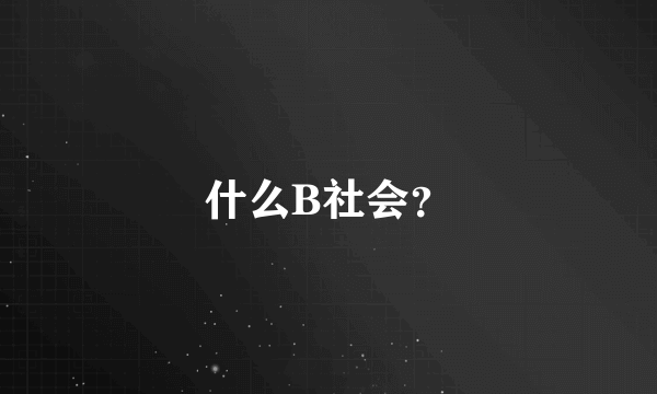 什么B社会？