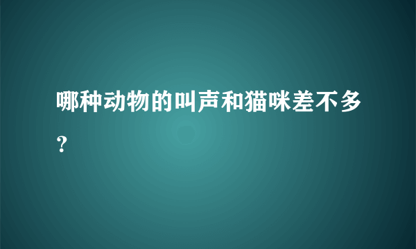 哪种动物的叫声和猫咪差不多？