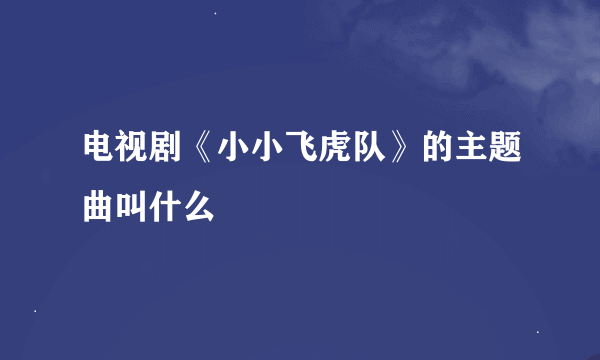 电视剧《小小飞虎队》的主题曲叫什么