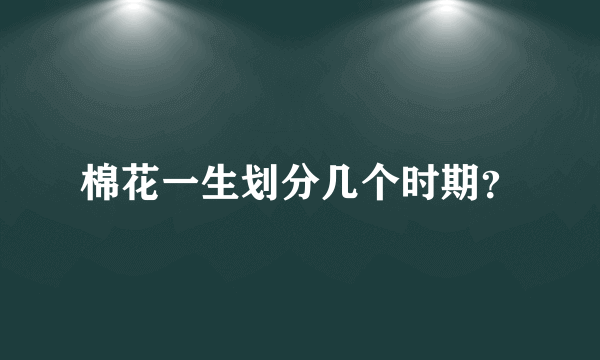 棉花一生划分几个时期？