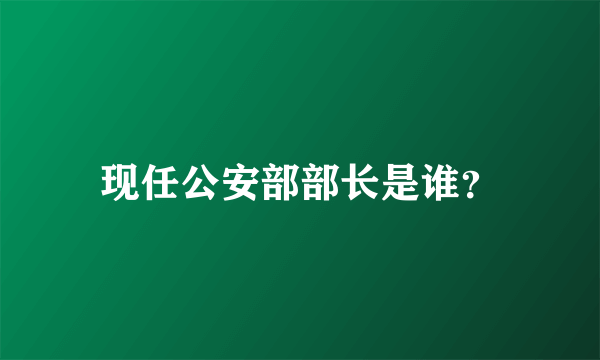 现任公安部部长是谁？