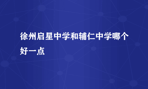 徐州启星中学和辅仁中学哪个好一点