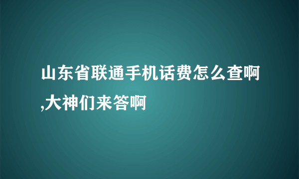 山东省联通手机话费怎么查啊,大神们来答啊