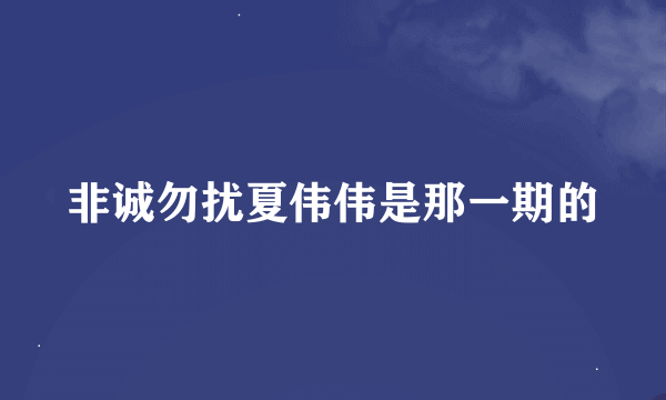 非诚勿扰夏伟伟是那一期的