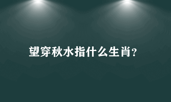 望穿秋水指什么生肖？