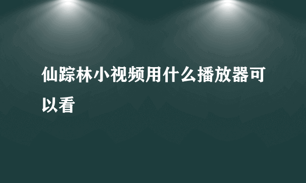 仙踪林小视频用什么播放器可以看