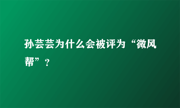 孙芸芸为什么会被评为“微风帮”？