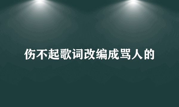 伤不起歌词改编成骂人的