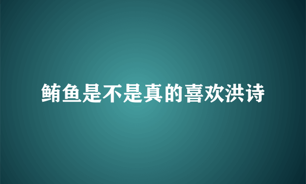 鲔鱼是不是真的喜欢洪诗