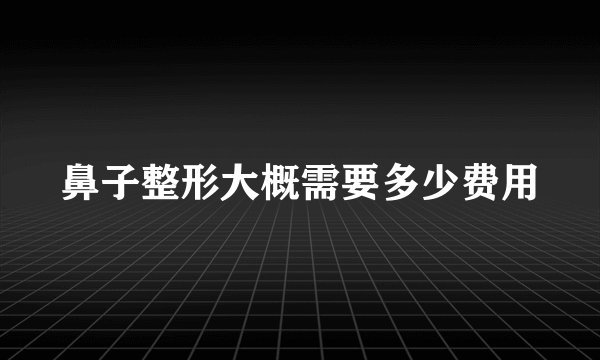 鼻子整形大概需要多少费用