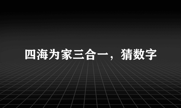 四海为家三合一，猜数字