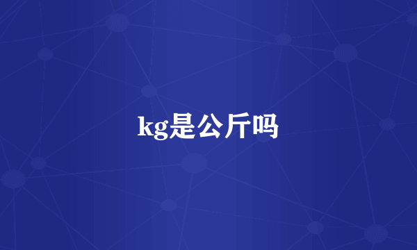 kg是公斤吗