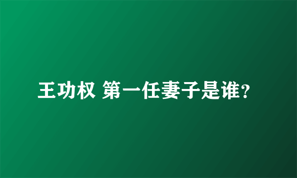 王功权 第一任妻子是谁？