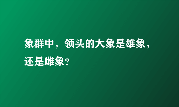 象群中，领头的大象是雄象，还是雌象？