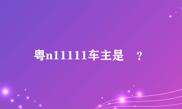 粤n11111车主是誰？