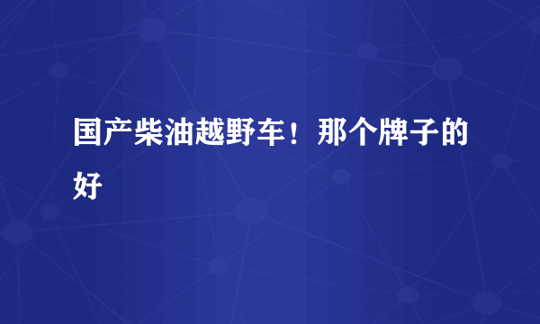 国产柴油越野车！那个牌子的好