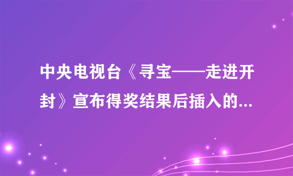 中央电视台《寻宝——走进开封》宣布得奖结果后插入的那个音乐叫什么名字？