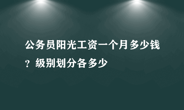 公务员阳光工资一个月多少钱？级别划分各多少