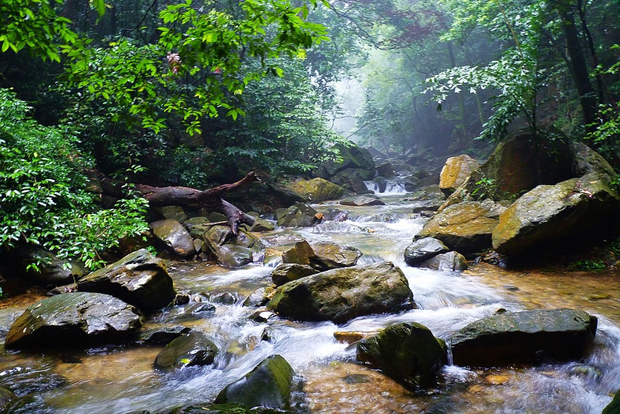 鼎湖山听泉 赏析