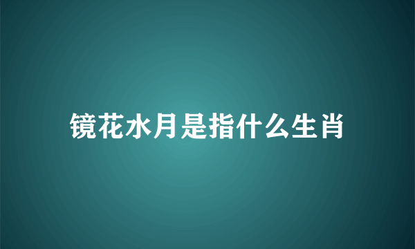 镜花水月是指什么生肖