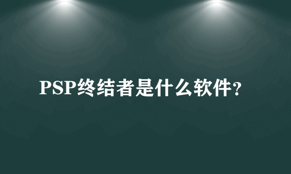 PSP终结者是什么软件？