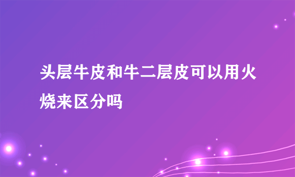 头层牛皮和牛二层皮可以用火烧来区分吗