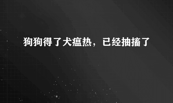 狗狗得了犬瘟热，已经抽搐了