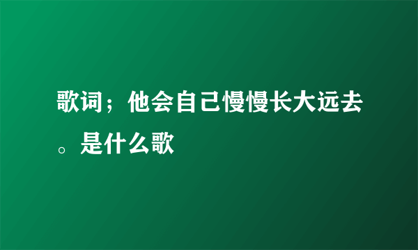 歌词；他会自己慢慢长大远去。是什么歌