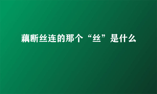 藕断丝连的那个“丝”是什么