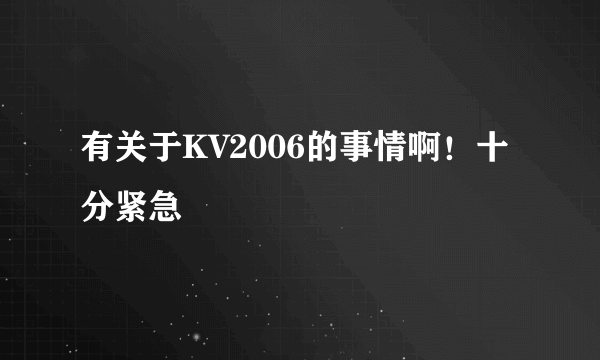 有关于KV2006的事情啊！十分紧急