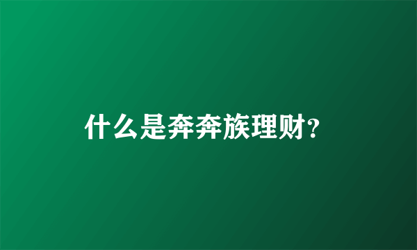 什么是奔奔族理财？