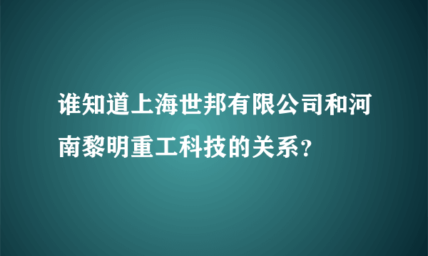 谁知道上海世邦有限公司和河南黎明重工科技的关系？