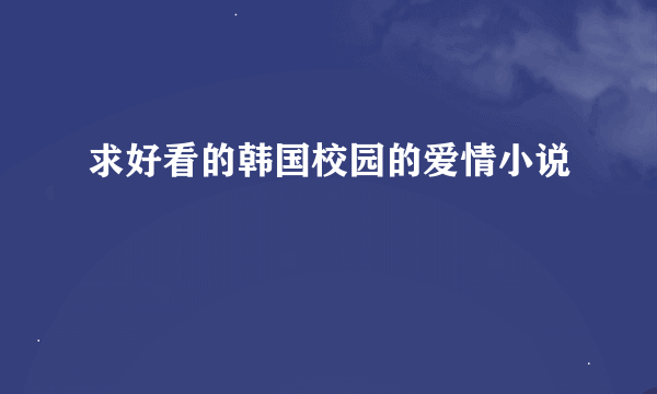 求好看的韩国校园的爱情小说