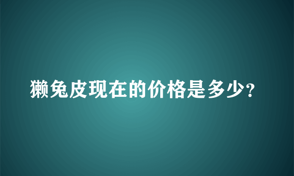 獭兔皮现在的价格是多少？