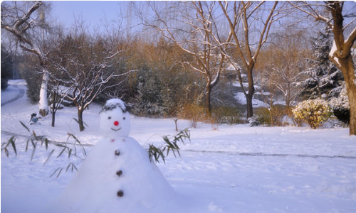 瑞雪兆丰年的意思