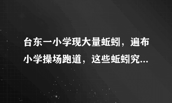 台东一小学现大量蚯蚓，遍布小学操场跑道，这些蚯蚓究竟从何而来？